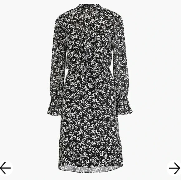 J. Crew Floral Chiffon Ruffle Sleeve Spring Prairie Tie Dress Small - Picture 2 of 8